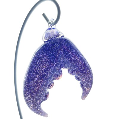 Hyacinth and White Speckle Crab Claw3